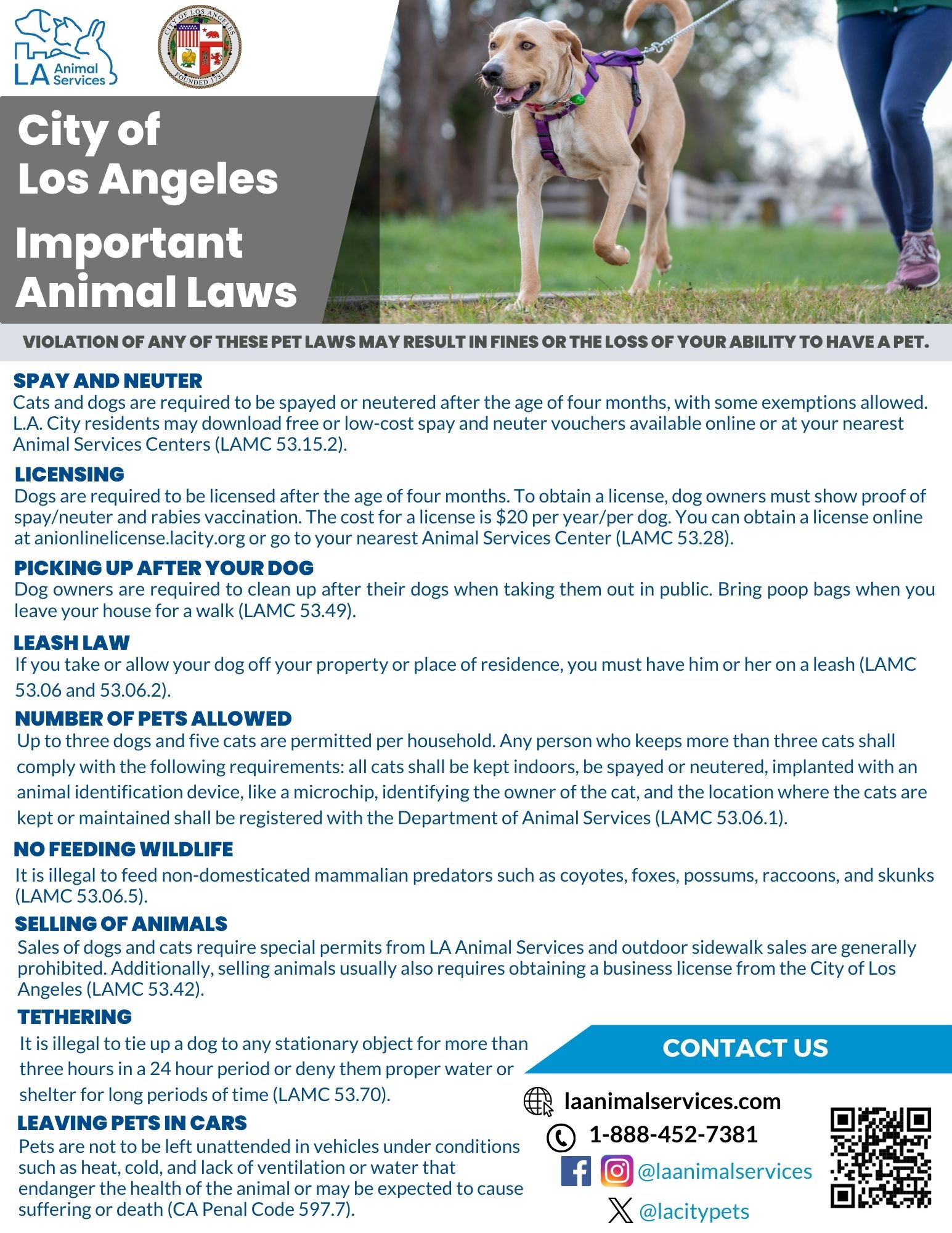 Pet Laws 2024 English