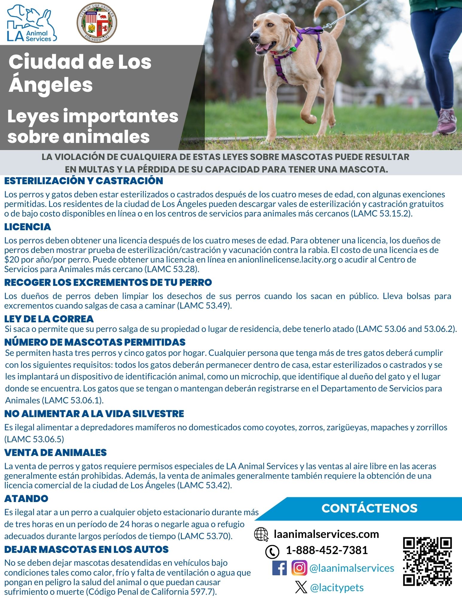 Pet Laws 2024 Spanish