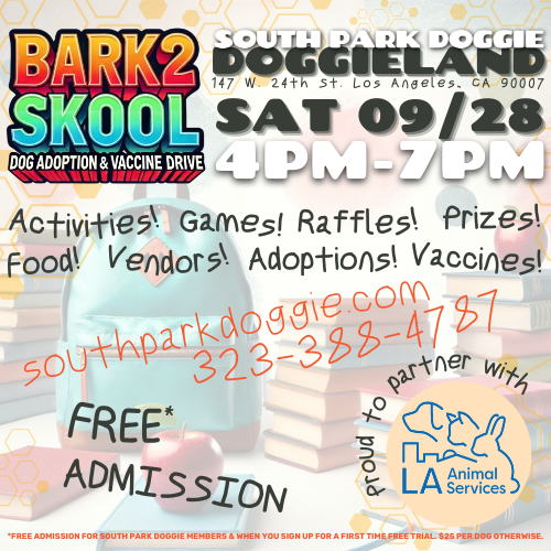 Bark 2 Skool event flyer