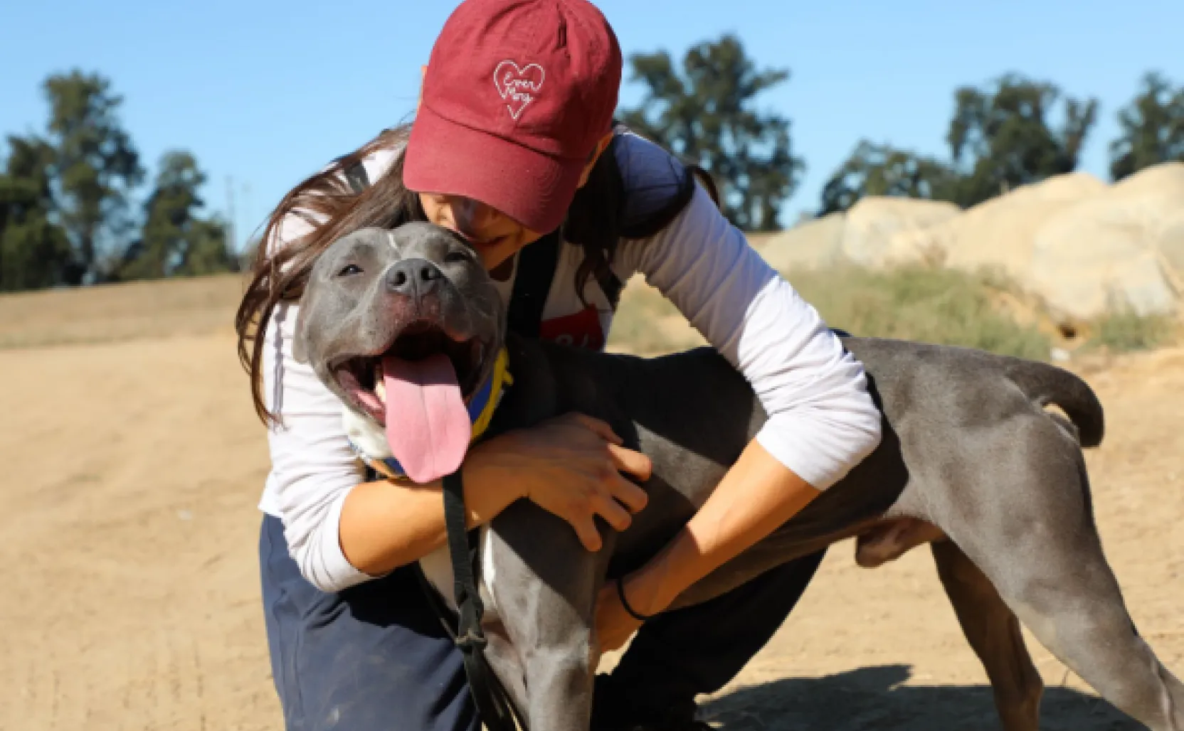 Canine Companions, Los Angeles Chargers Welcome Second Puppy - Canine  Companions