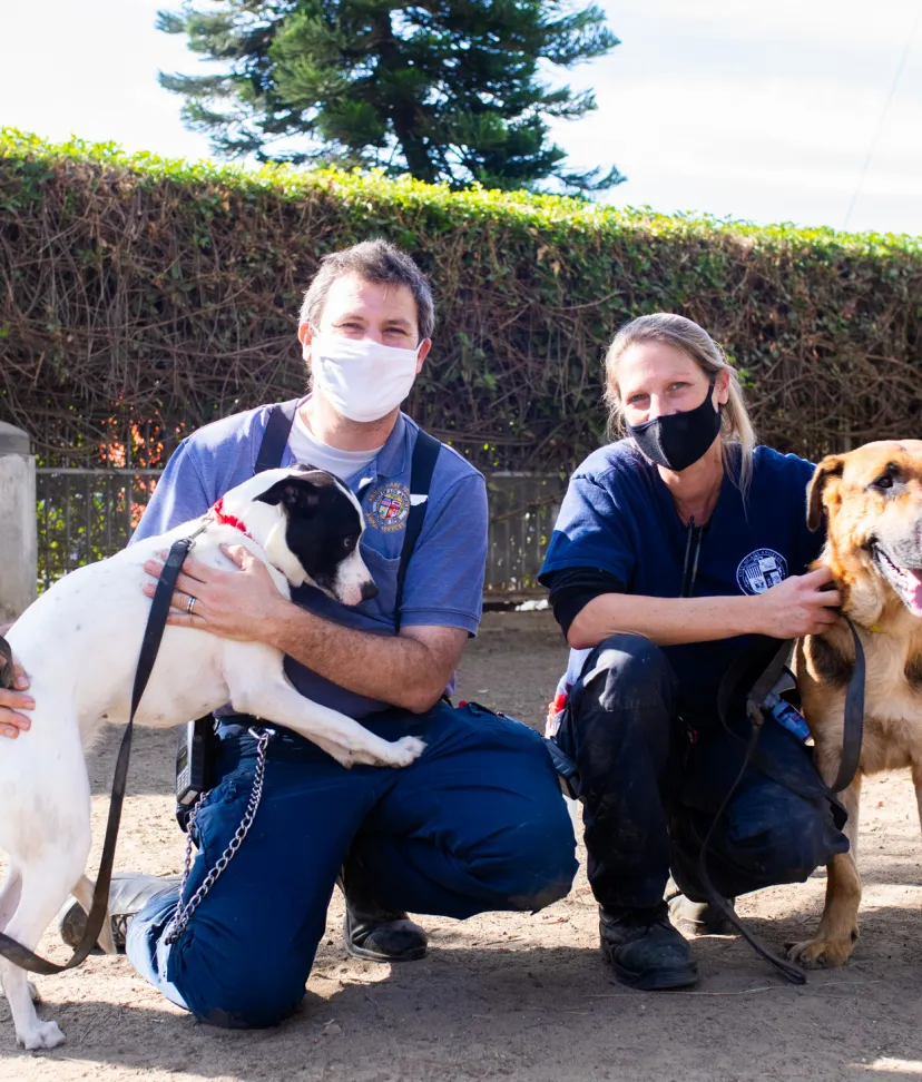 East valley animal care and store control center