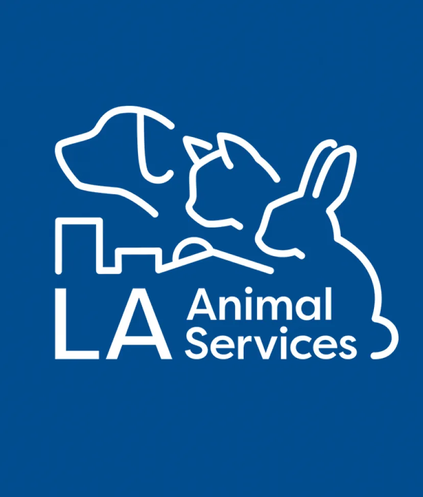 Laanimalservices lost best sale