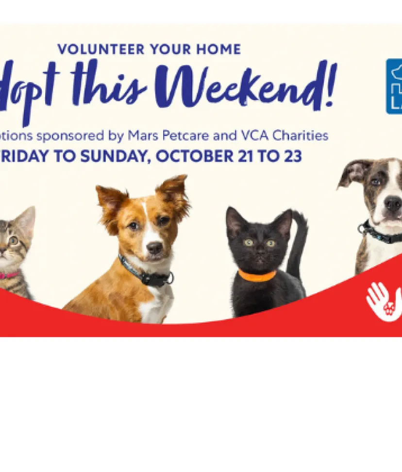 Mars Petcare Offers Halloween Fun 10/16/2020