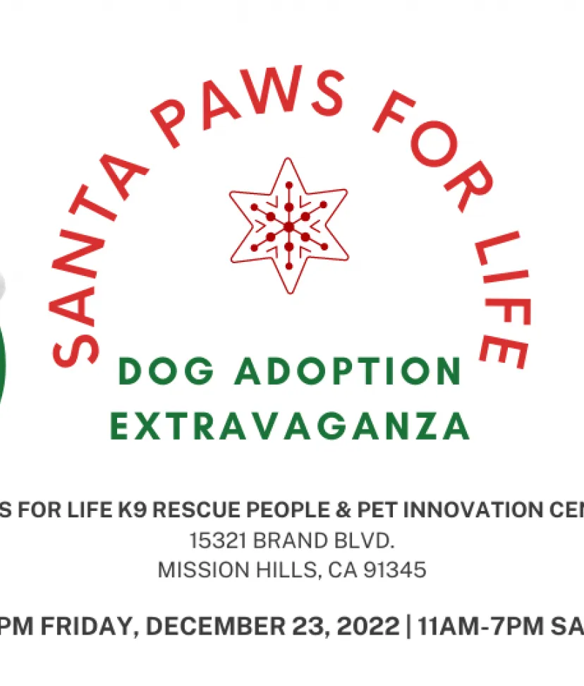 Pets Available For Adoption - Paws For Life K9 Rescue