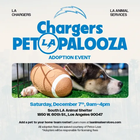 Graphic for Chargers Petpalooza event